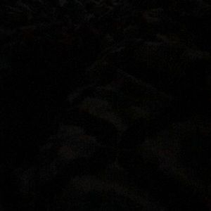 Meet your Posher, Mya